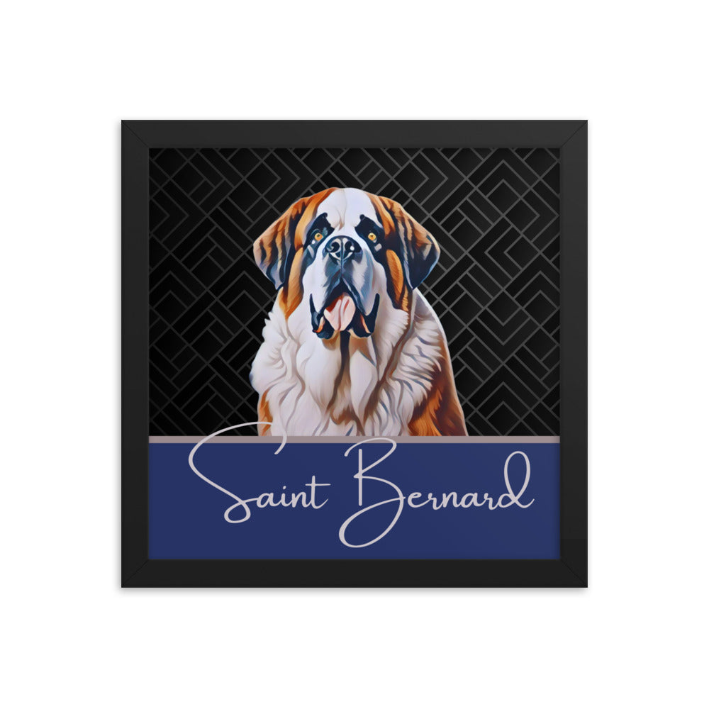 Saint Bernard Framed poster