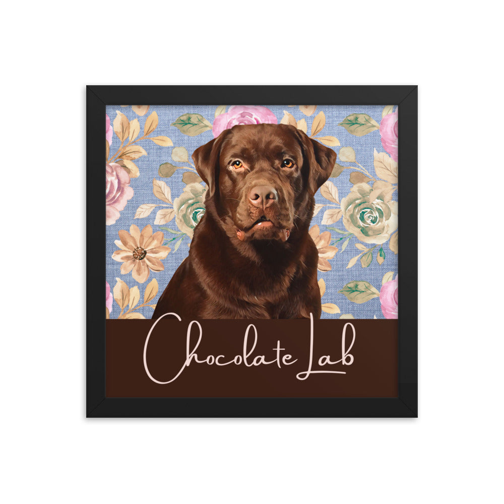 Chocolate Lab Framed poster