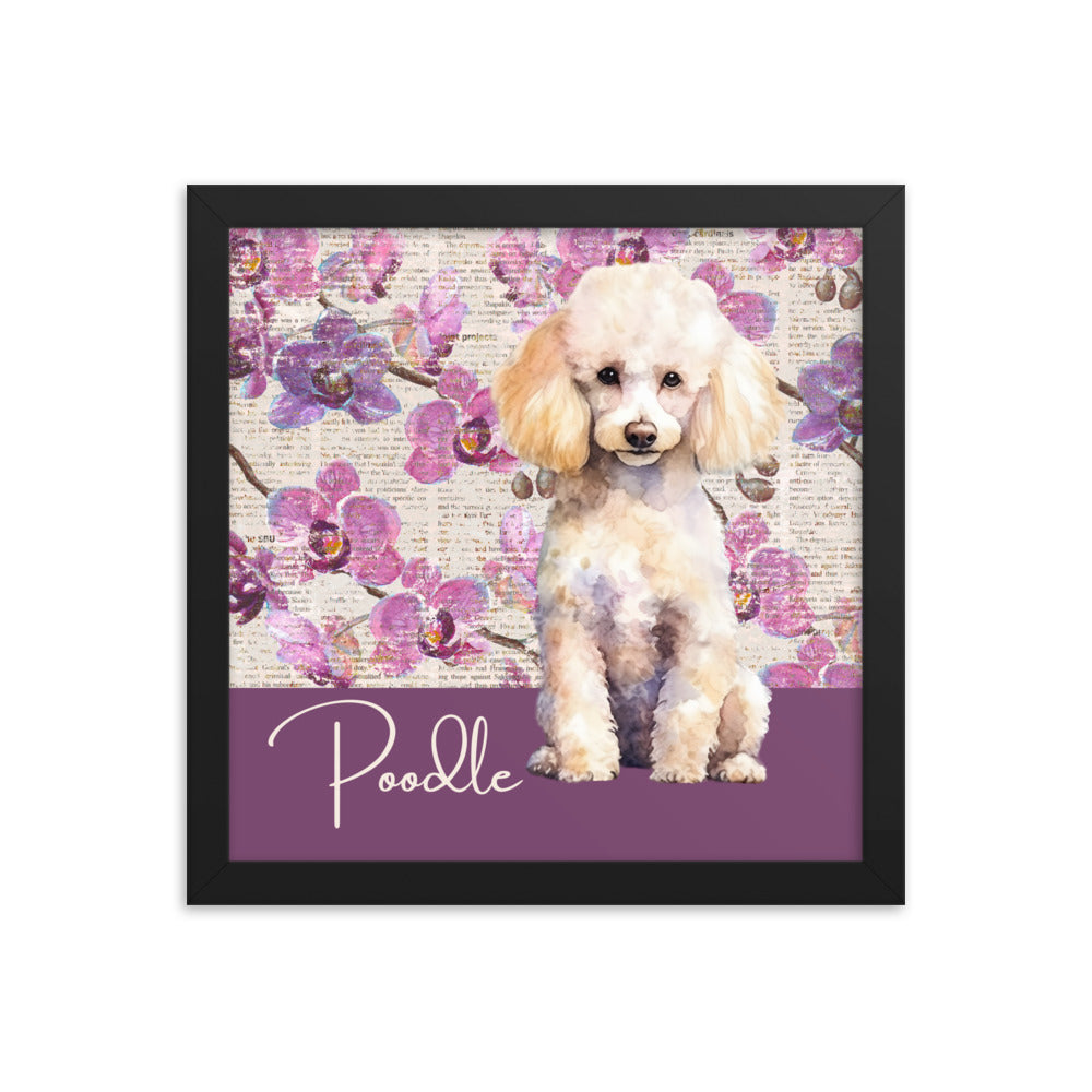 Poodle Framed poster