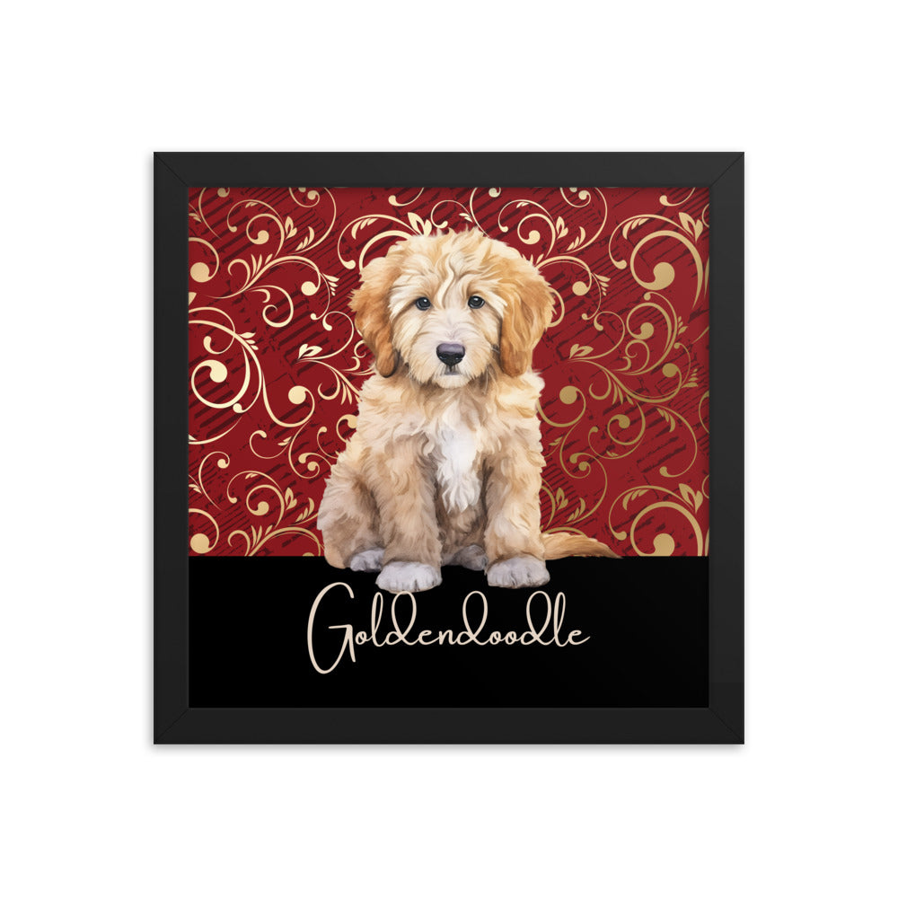 Goldendoodle Framed poster