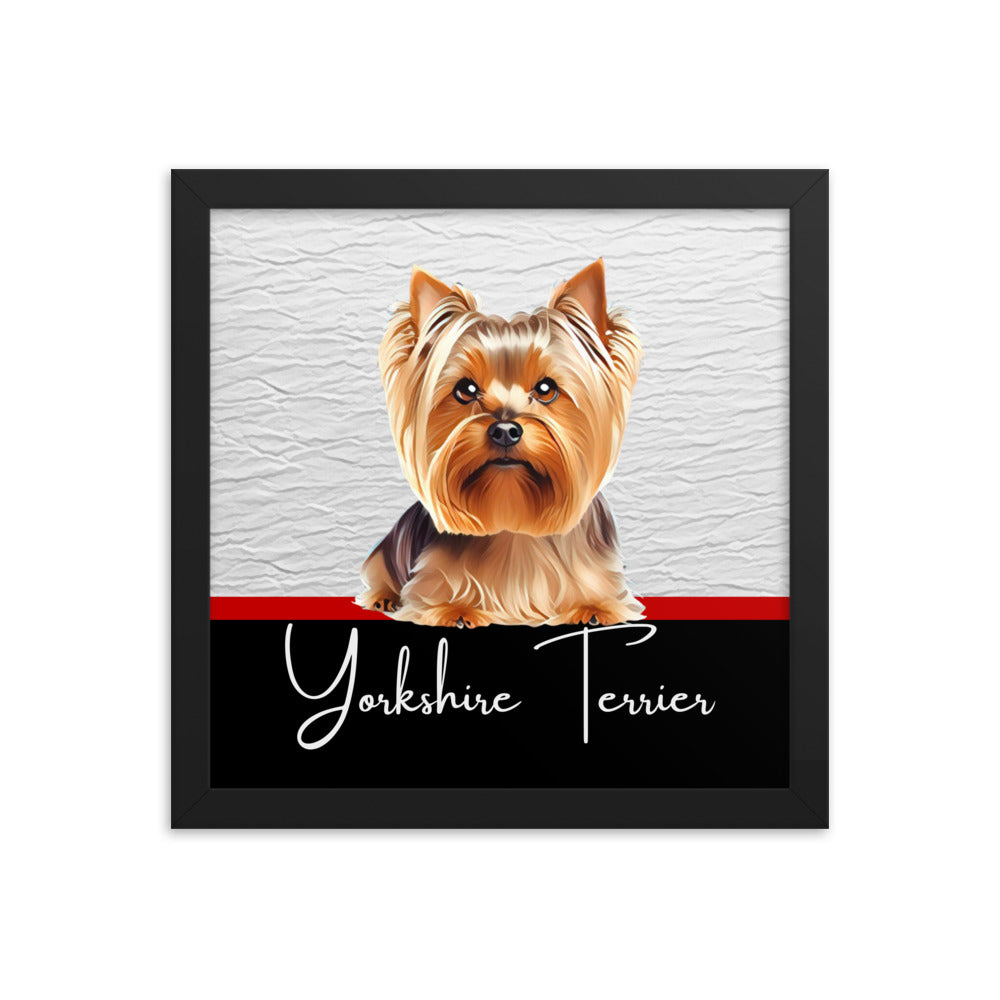 Yorkshire Terrier Framed poster