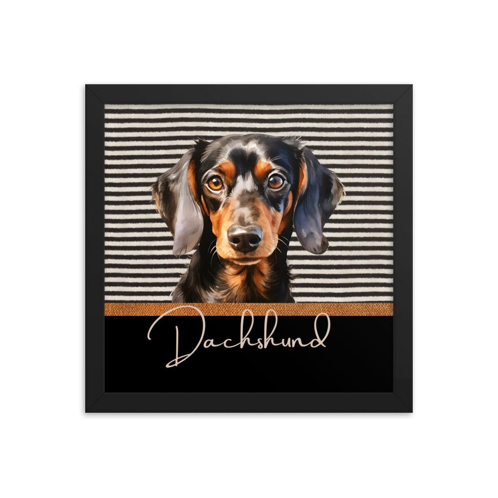 Dachshund Framed poster