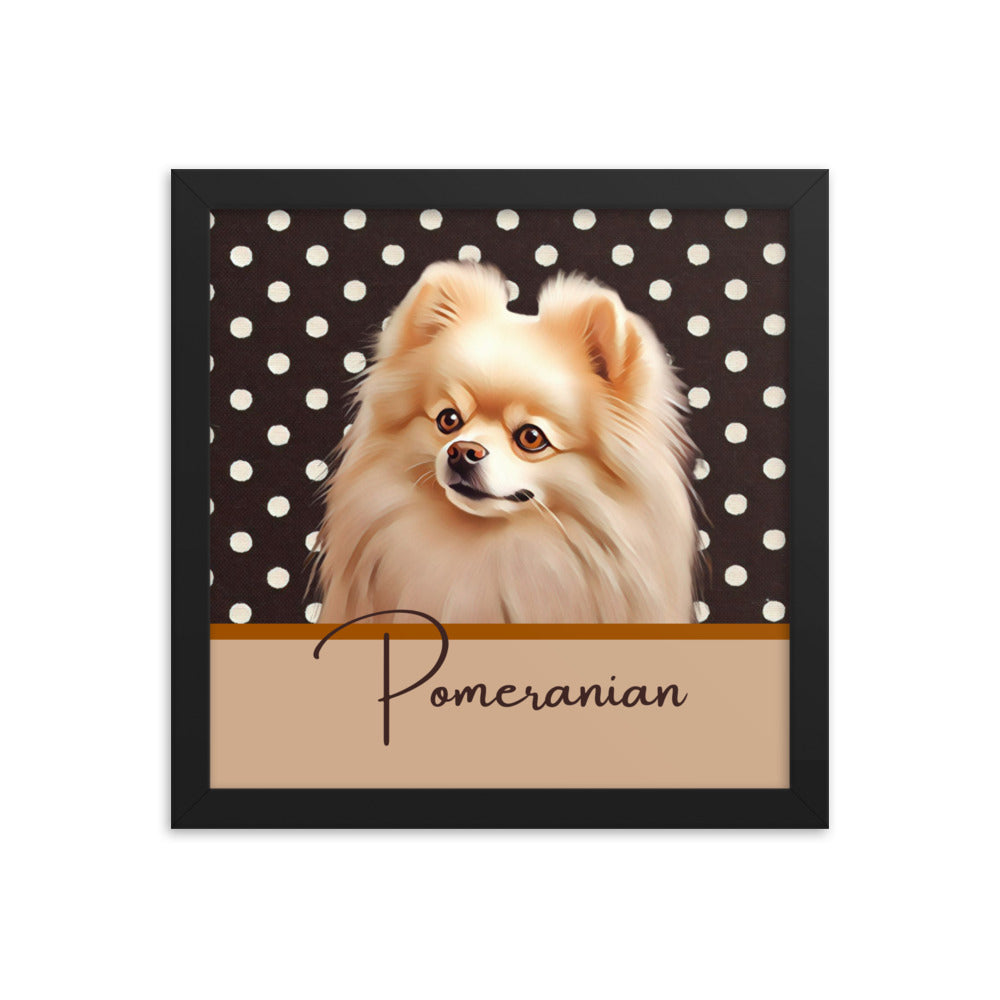 Pomeranian Framed poster