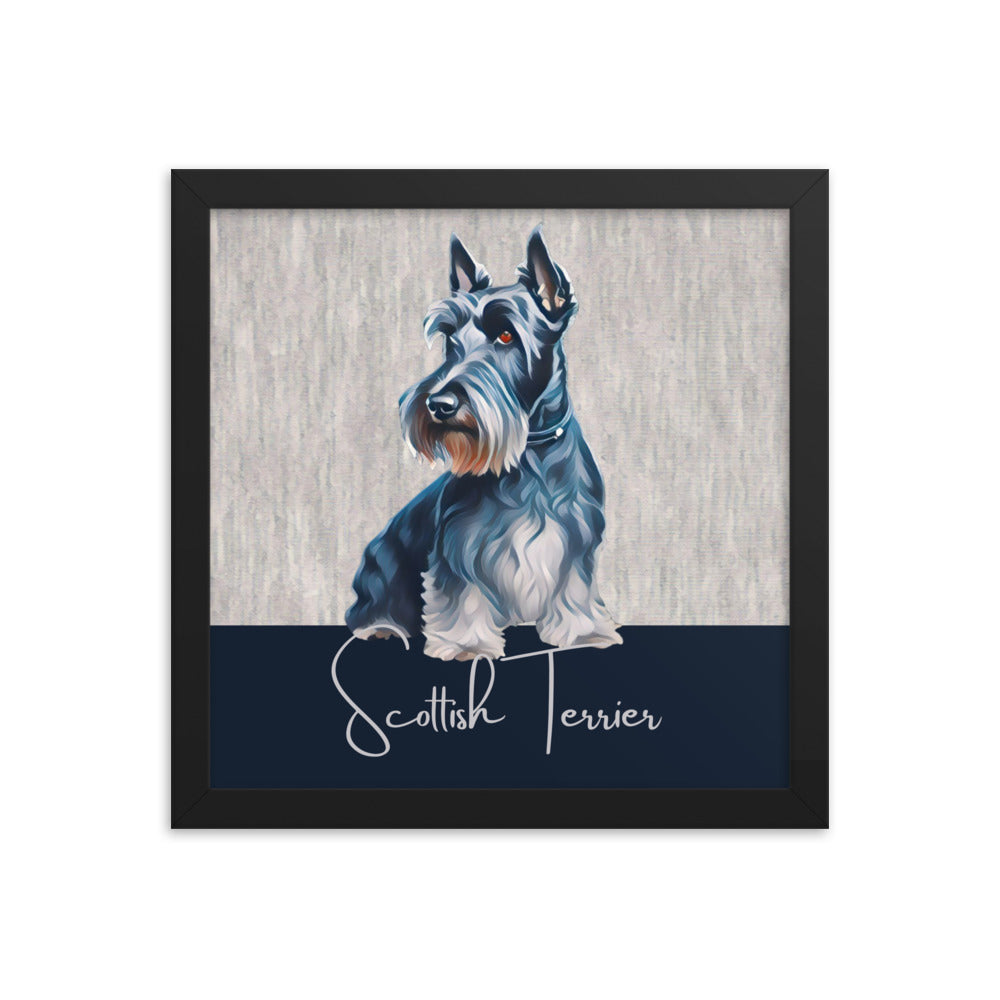 Scottish Terrier Framed poster