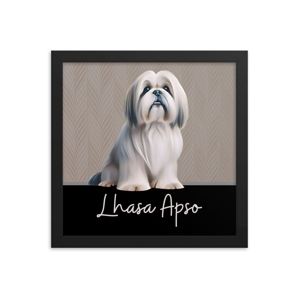 Lhasa Apso Framed poster