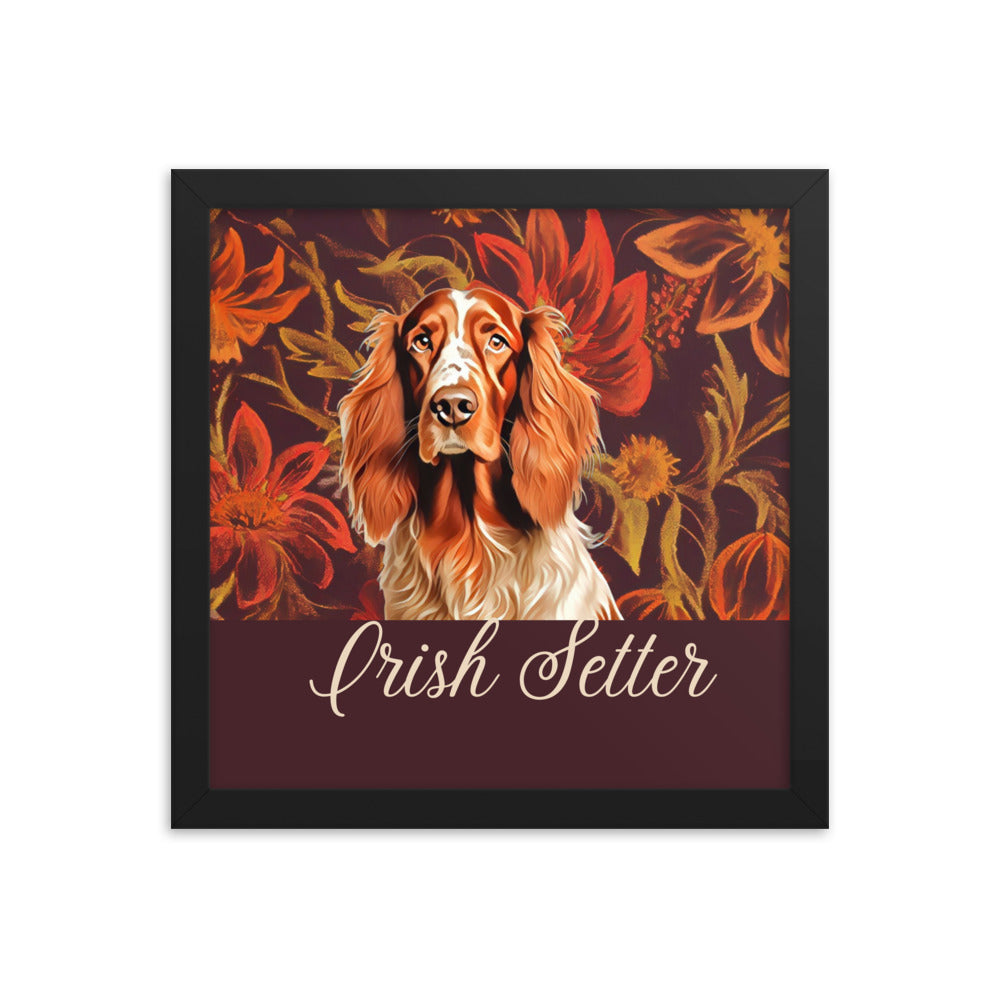 Irish Setter Framed poster