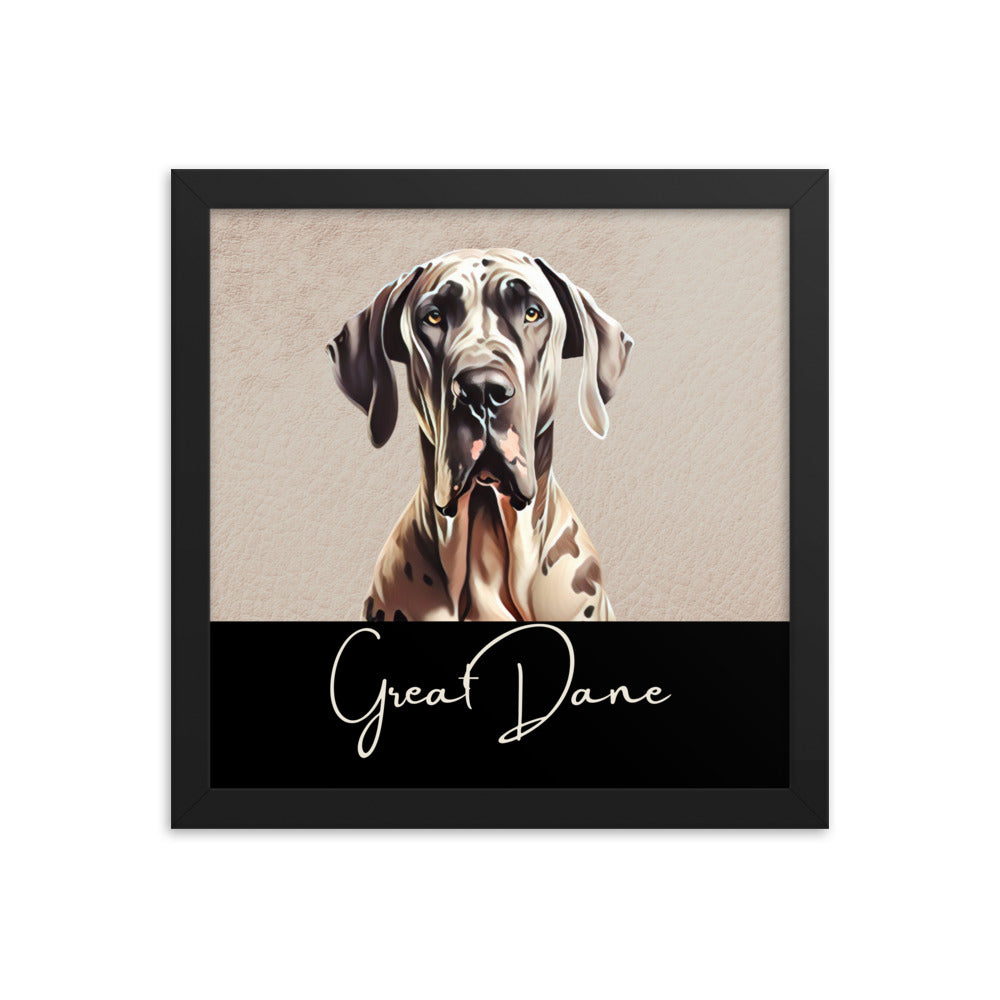 Great Dane Framed poster