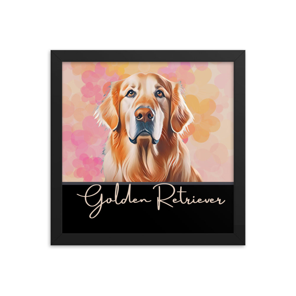 Golden Retriever Framed poster