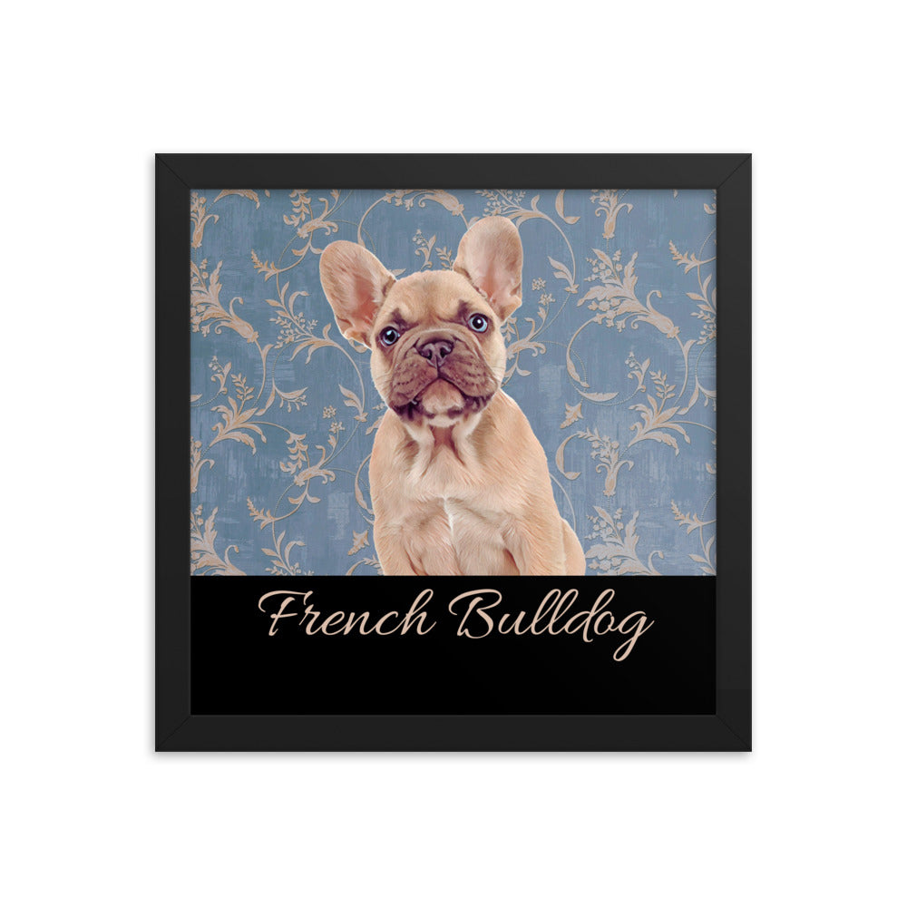 French Bulldog Framed poster