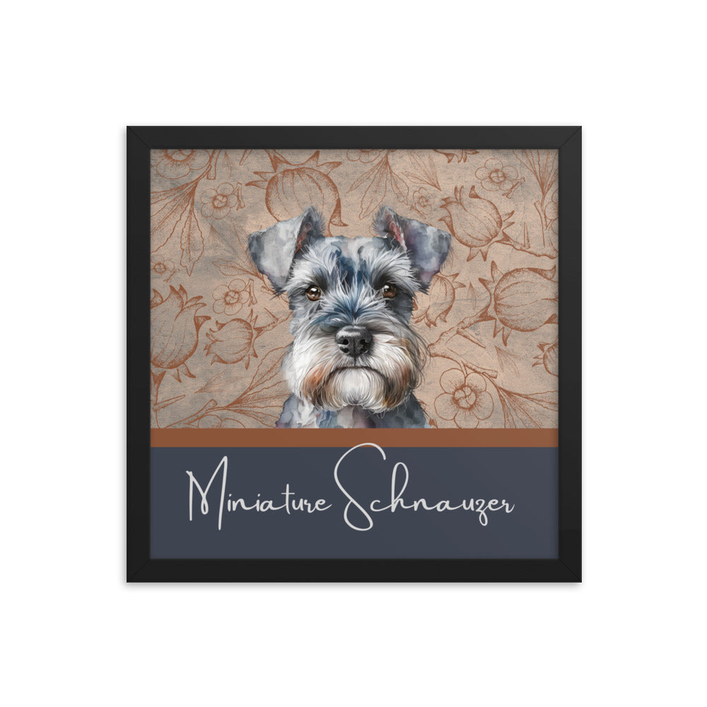 Miniature Schnauzer Framed poster