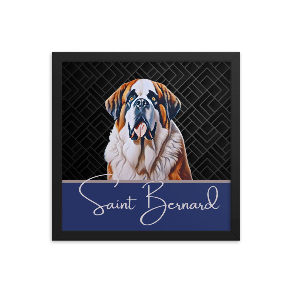 Saint Bernard Framed poster