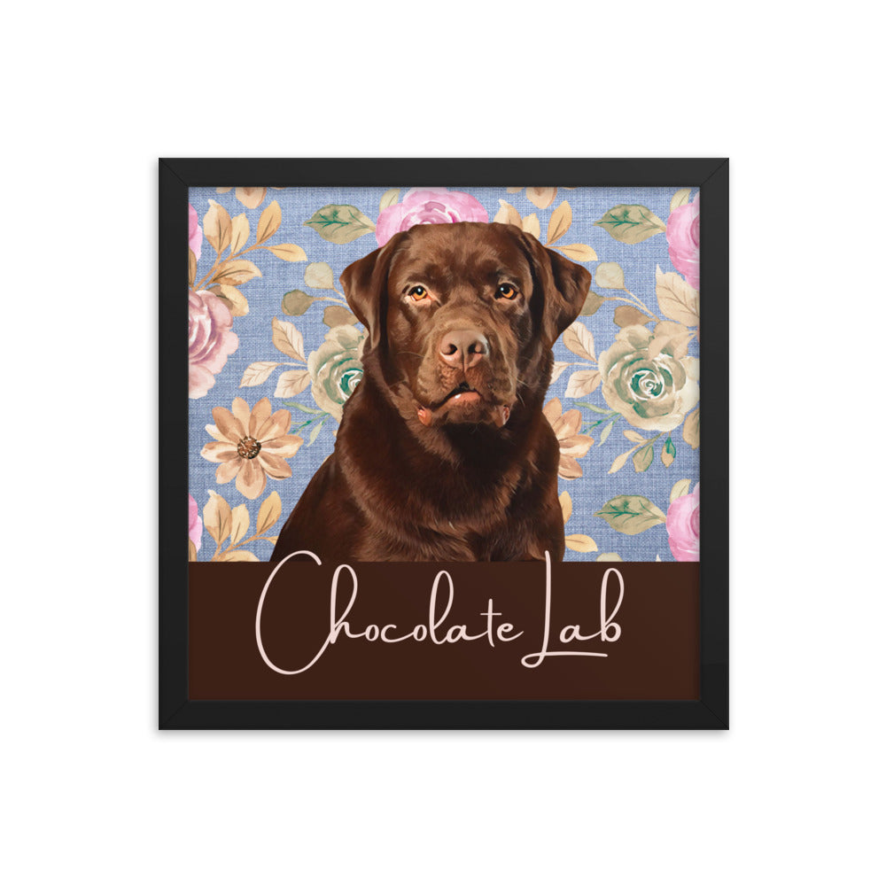 Chocolate Lab Framed poster