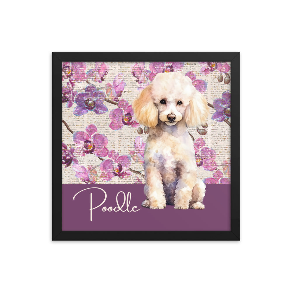 Poodle Framed poster