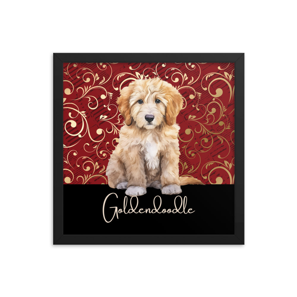 Goldendoodle Framed poster