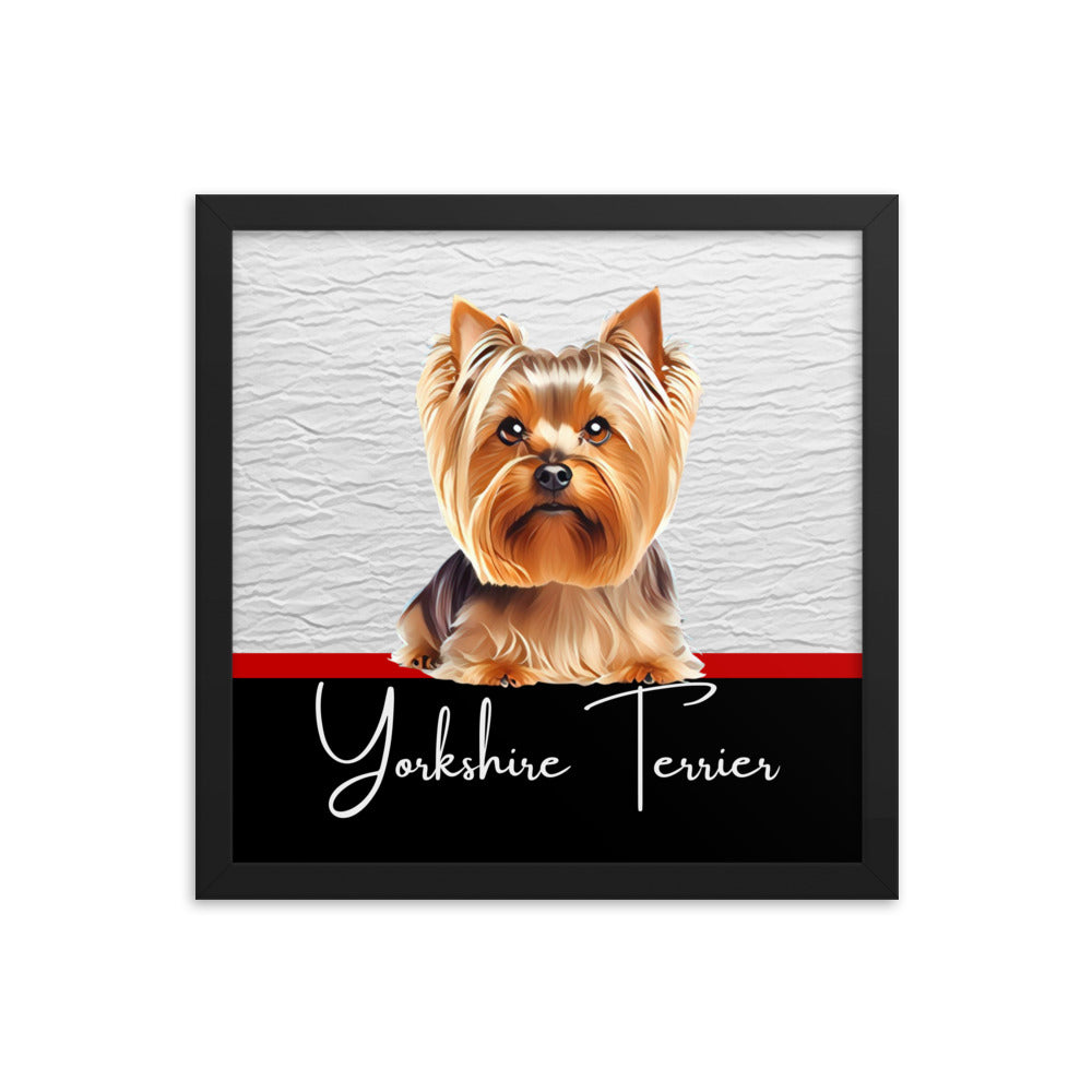 Yorkshire Terrier Framed poster