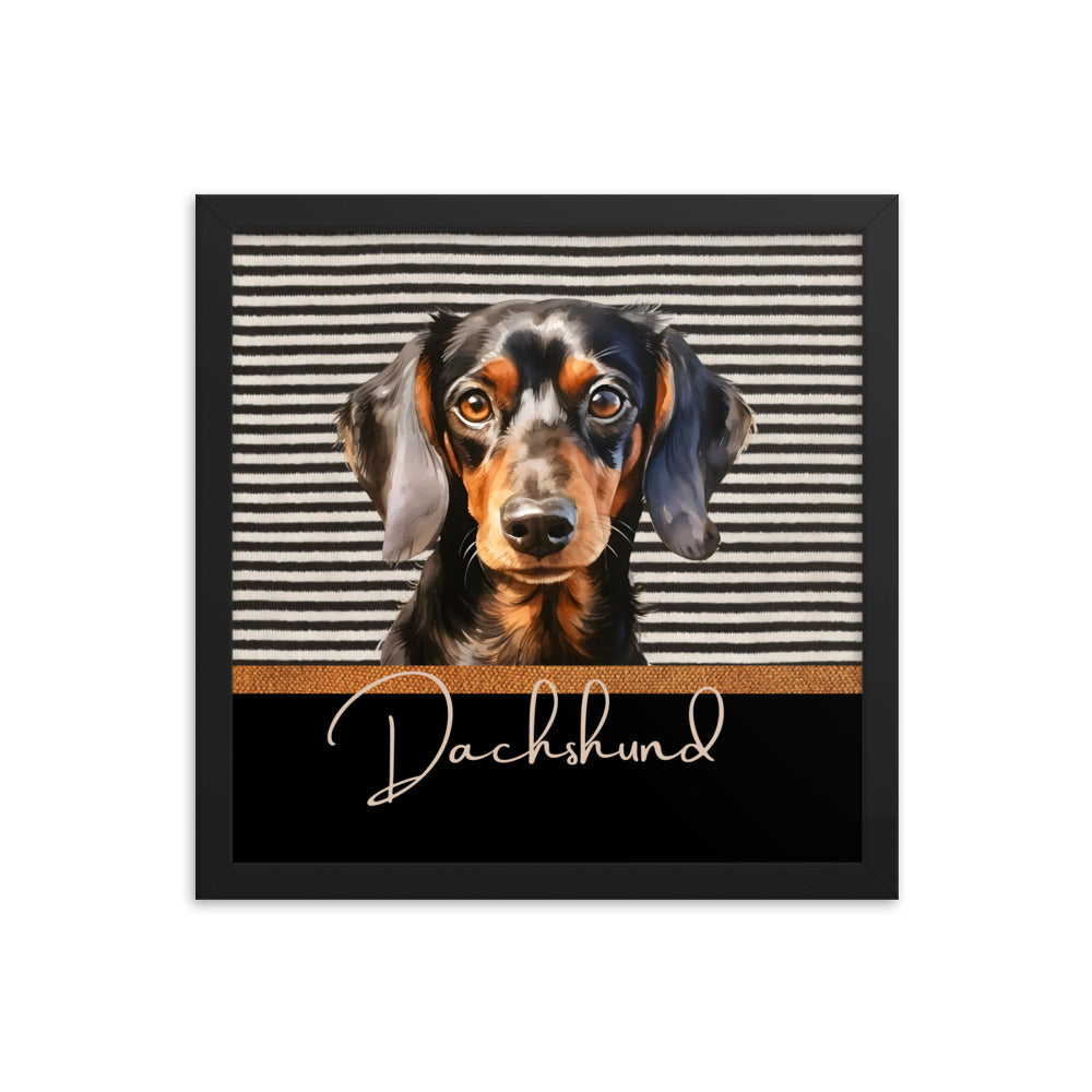 Dachshund Framed poster