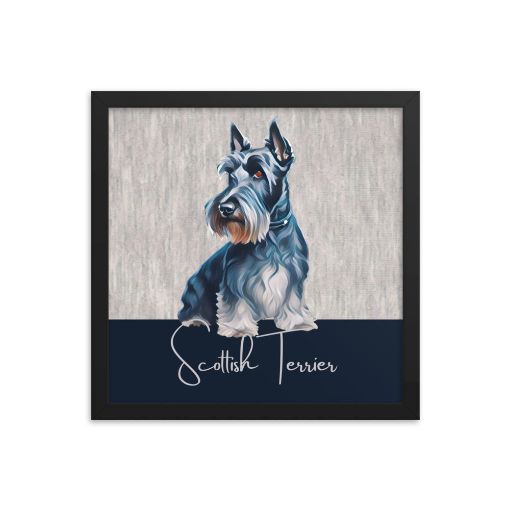 Scottish Terrier Framed poster