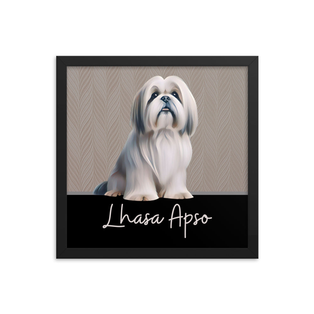 Lhasa Apso Framed poster