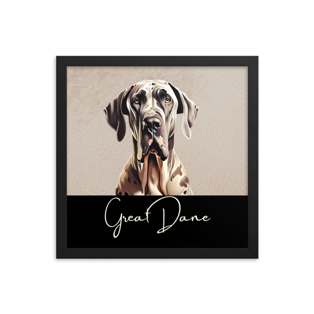 Great Dane Framed poster