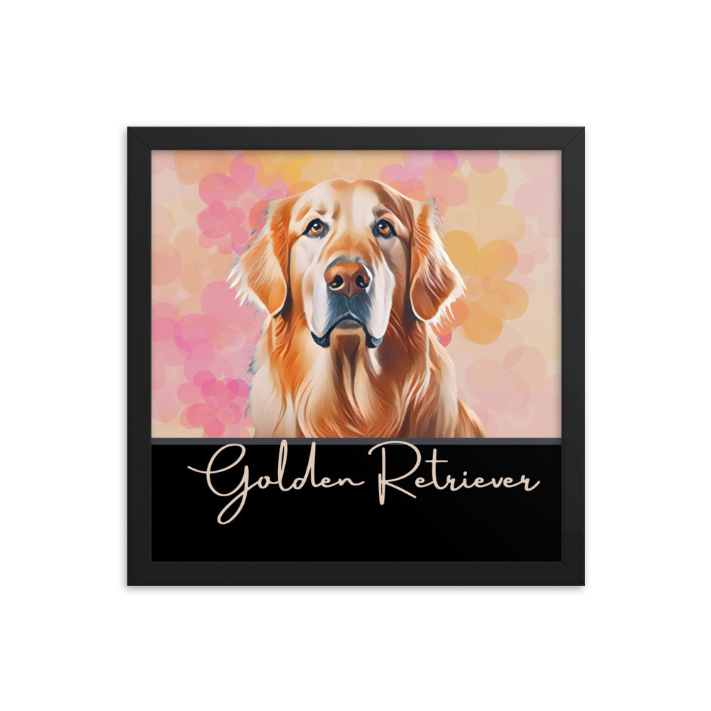 Golden Retriever Framed poster