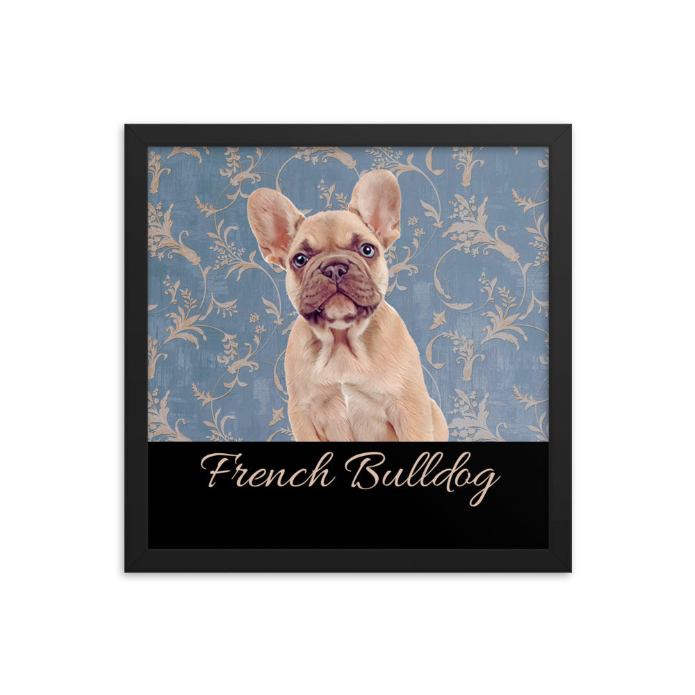 French Bulldog Framed poster