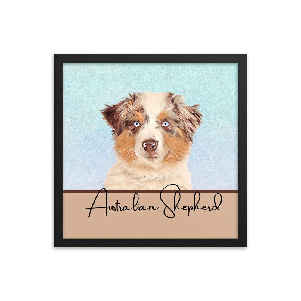 Australian Shepherd Framed poster