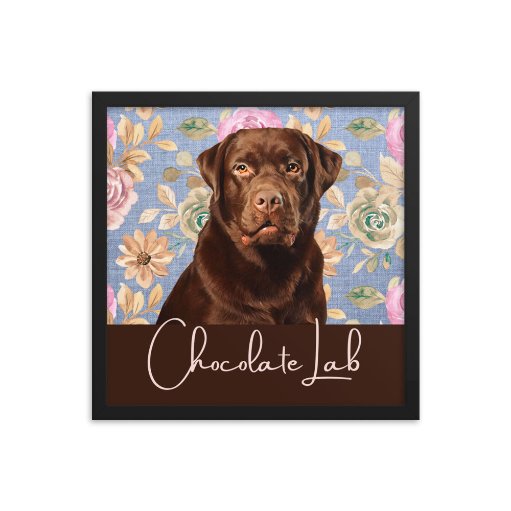 Chocolate Lab Framed poster