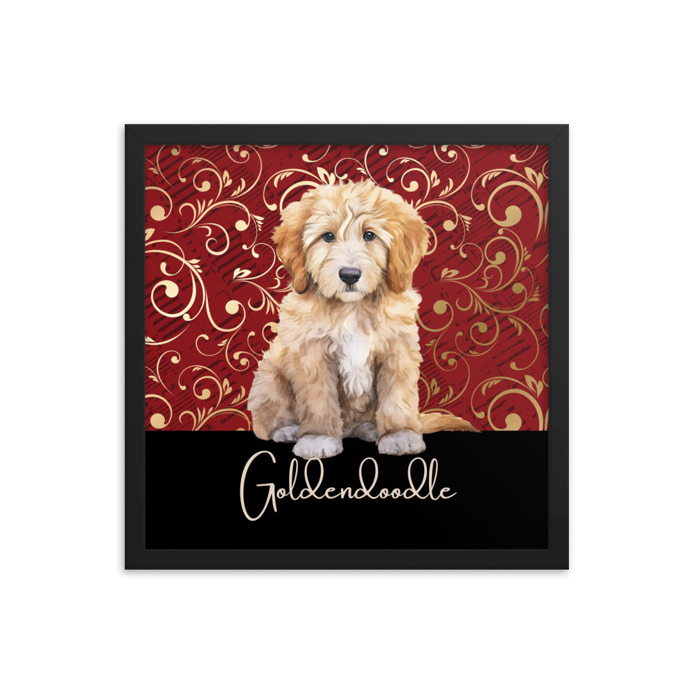 Goldendoodle Framed poster