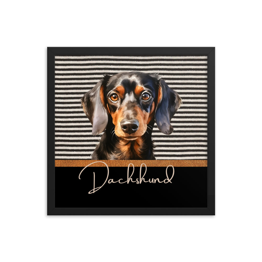 Dachshund Framed poster