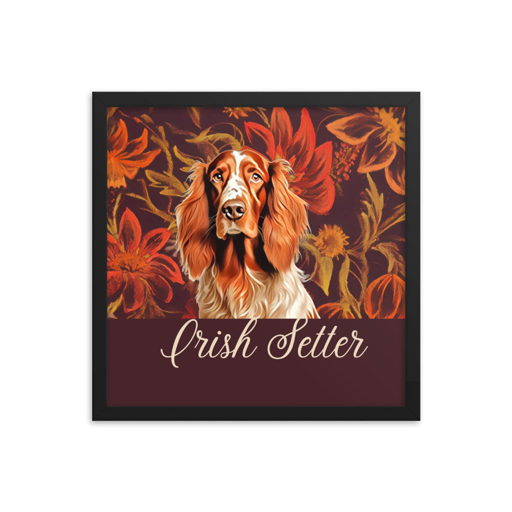 Irish Setter Framed poster