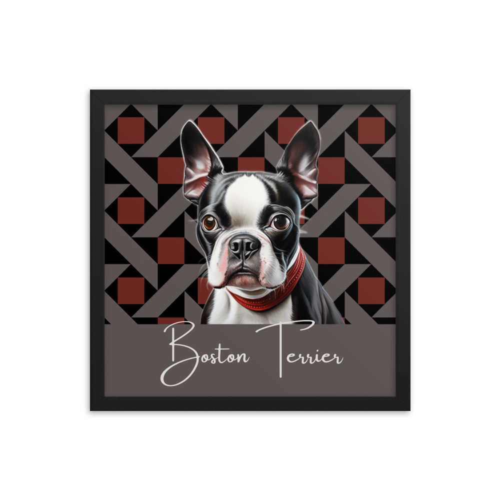 Boston Terrier Framed poster