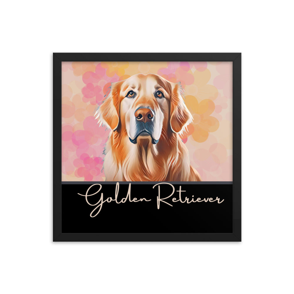 Golden Retriever Framed poster