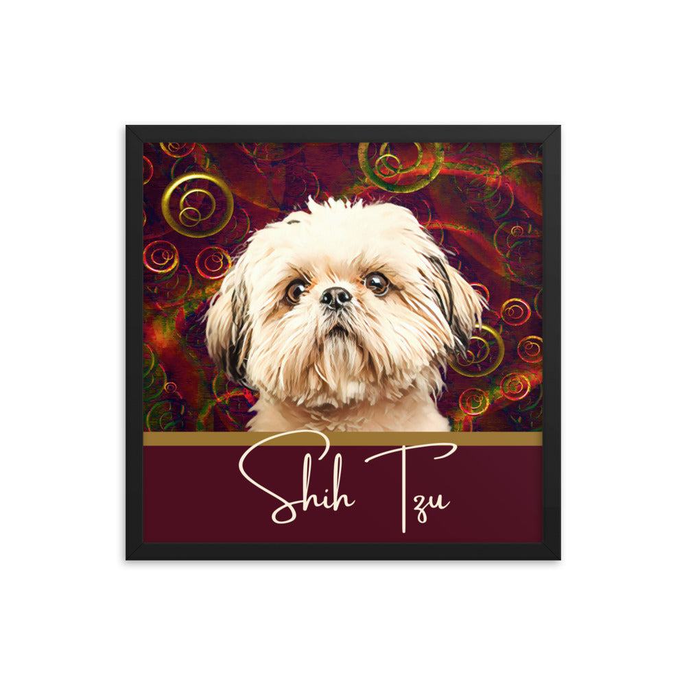 Shih Tzu Framed poster