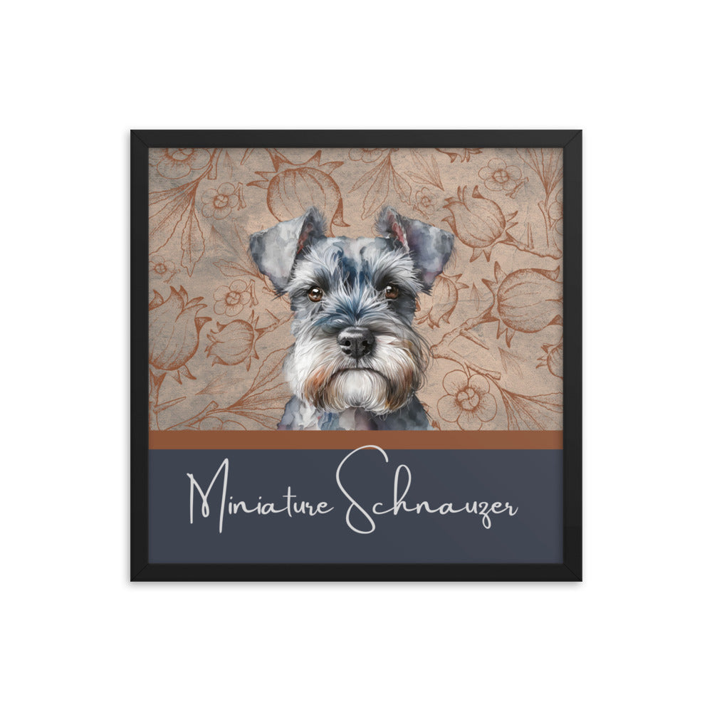 Miniature Schnauzer Framed poster