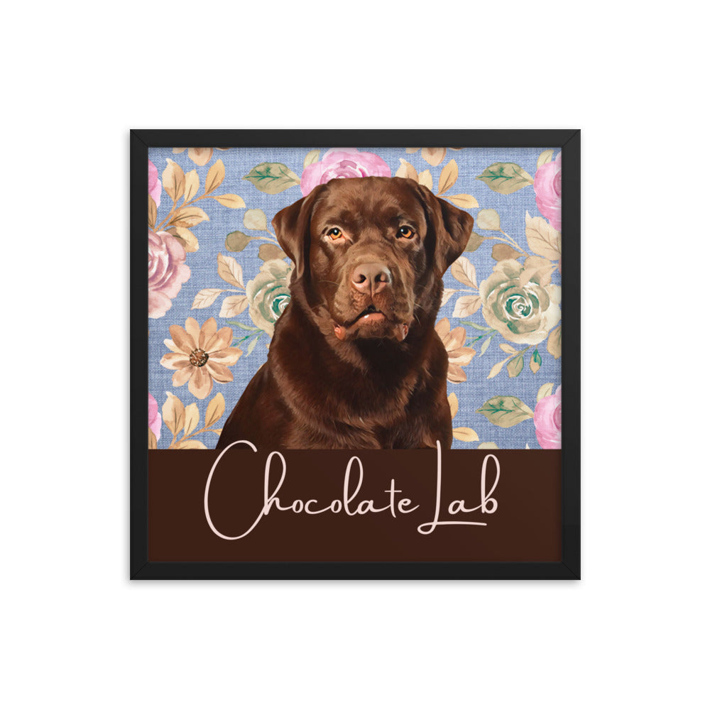 Chocolate Lab Framed poster