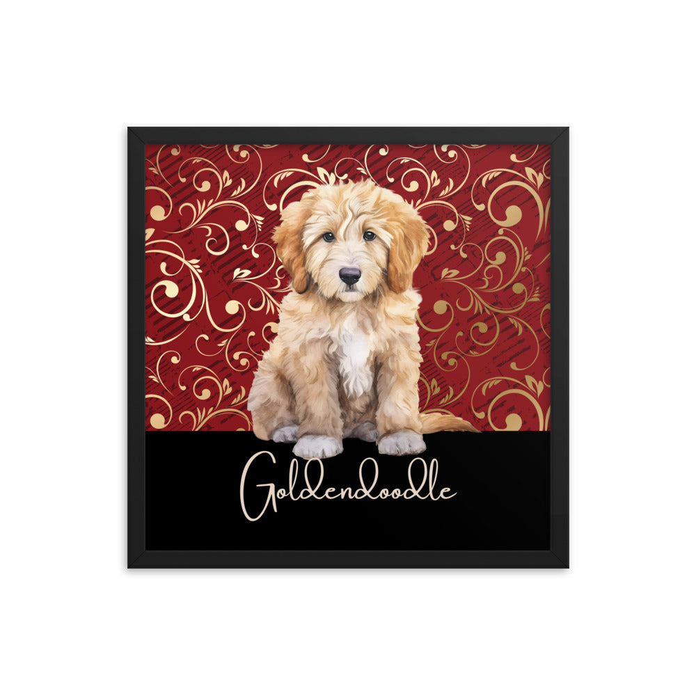 Goldendoodle Framed poster