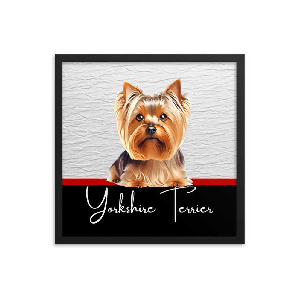 Yorkshire Terrier Framed poster