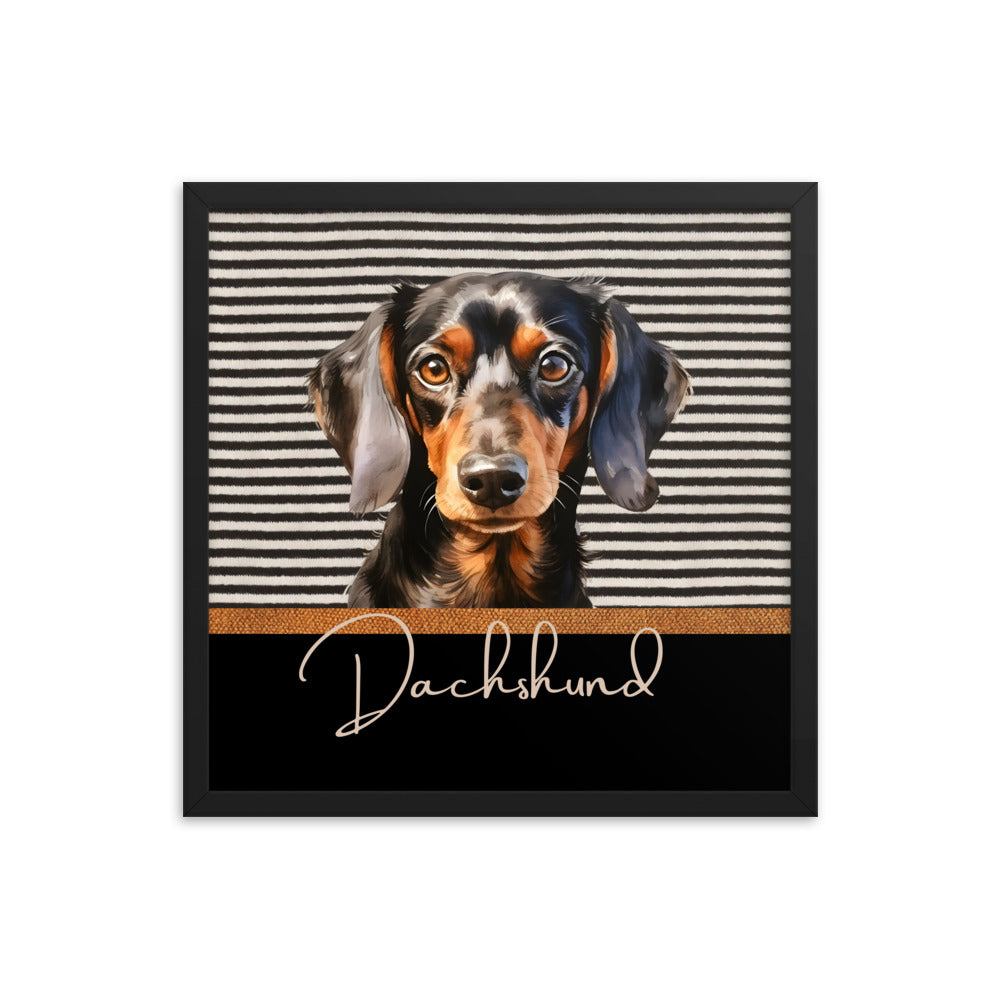 Dachshund Framed poster