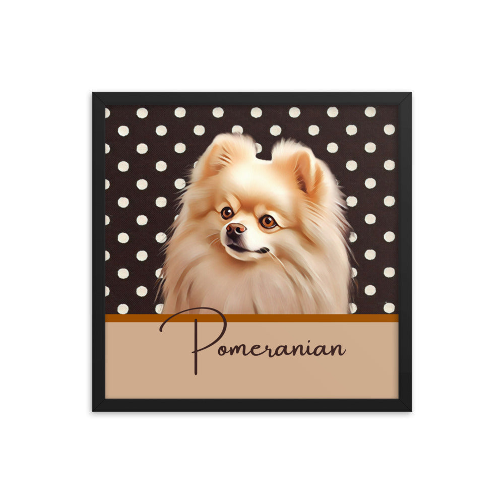 Pomeranian Framed poster