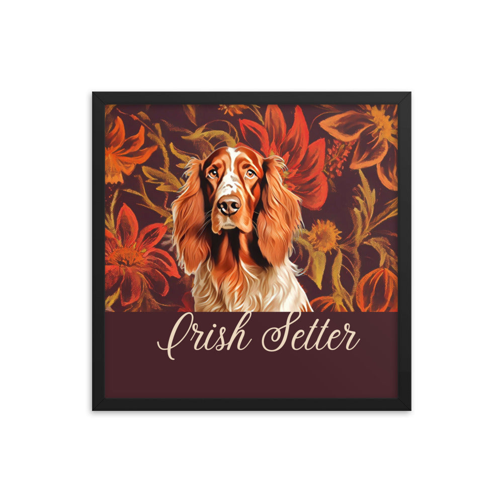 Irish Setter Framed poster