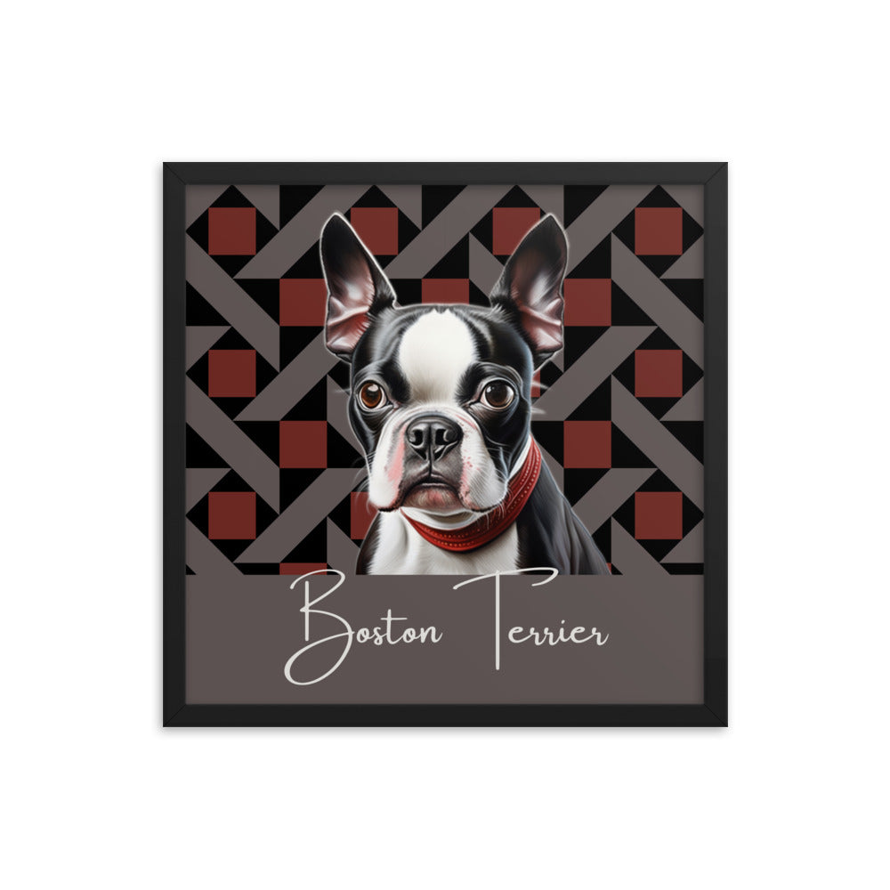 Boston Terrier Framed poster