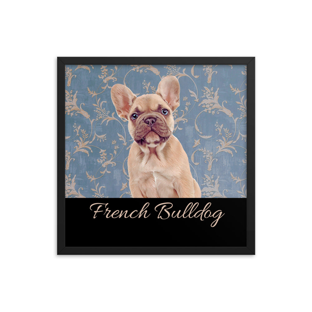 French Bulldog Framed poster