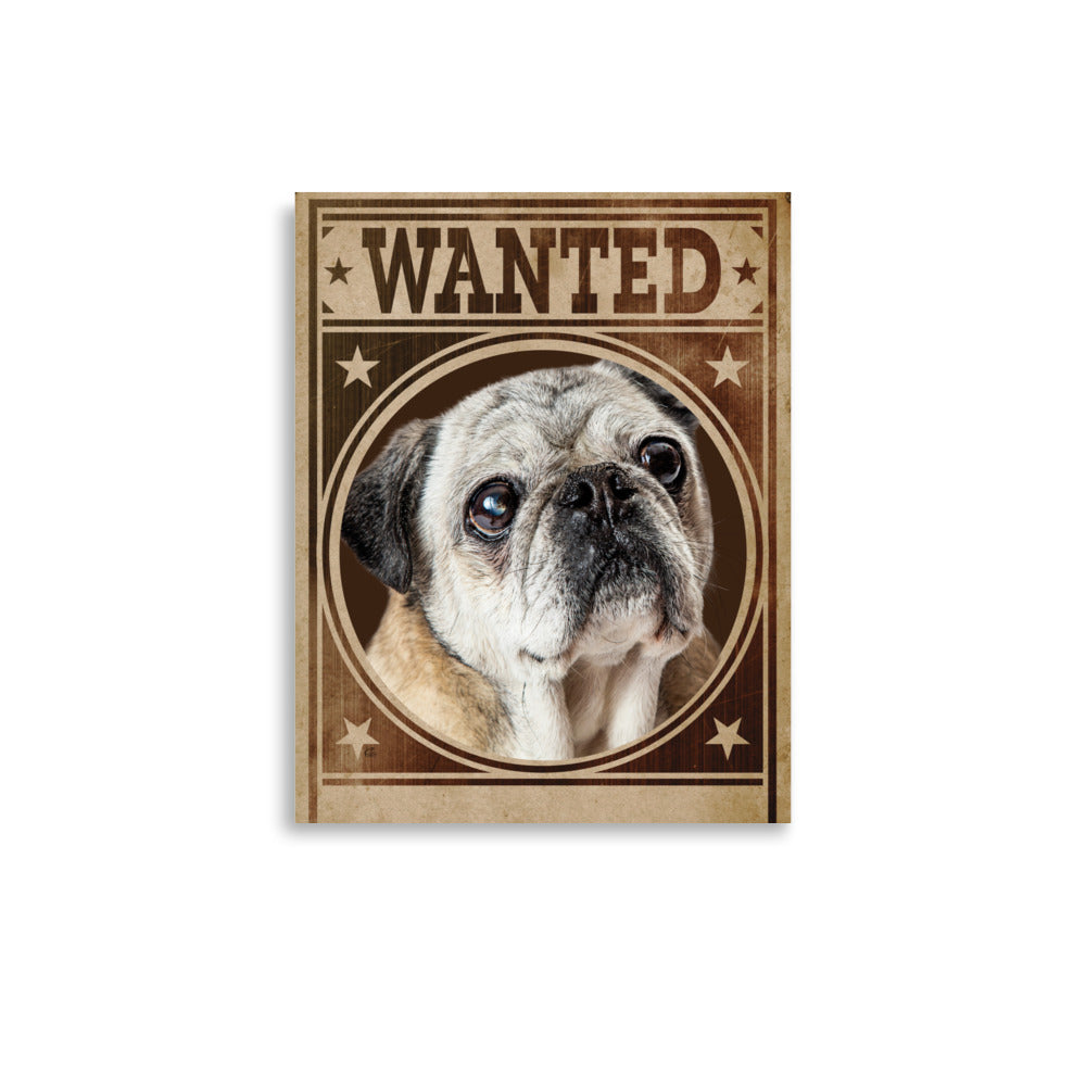 Pug Shot Wanted Poster