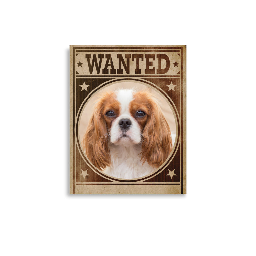 Cavalier King Charles Spaniel Mug Shot Wanted Poster