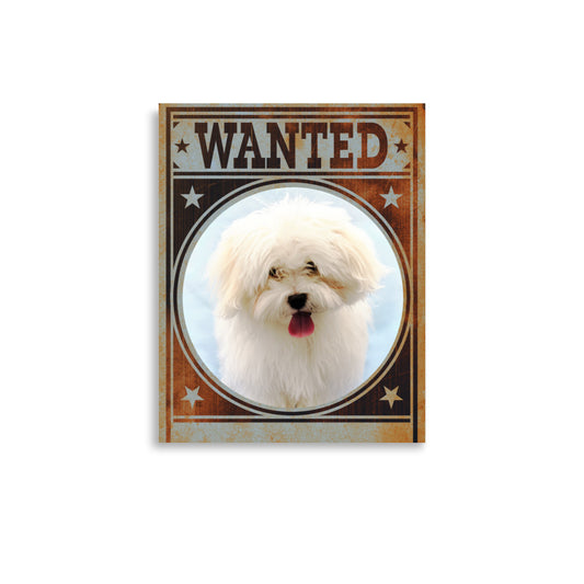 Bichon Frise Mug Shot Wanted Poster