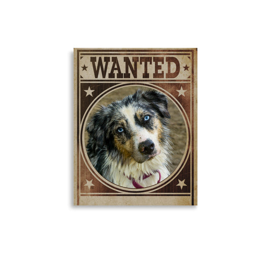 Australian Shepherd Mug Shot Wanted Poster