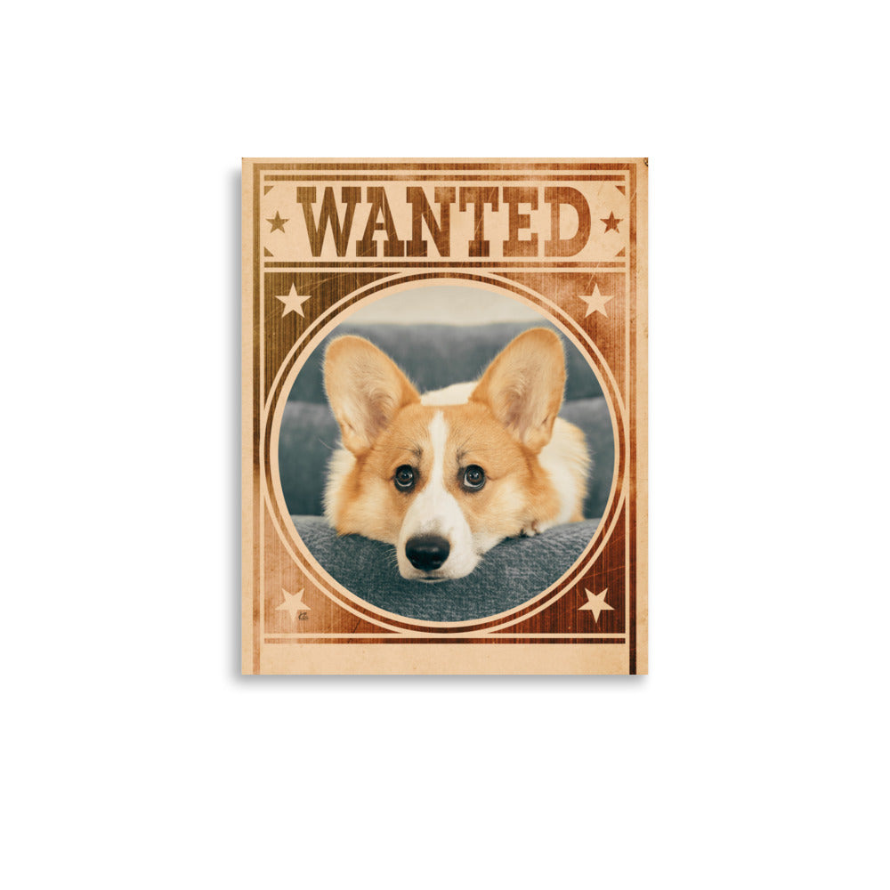 Corgi Mug Shot Wanted Poster