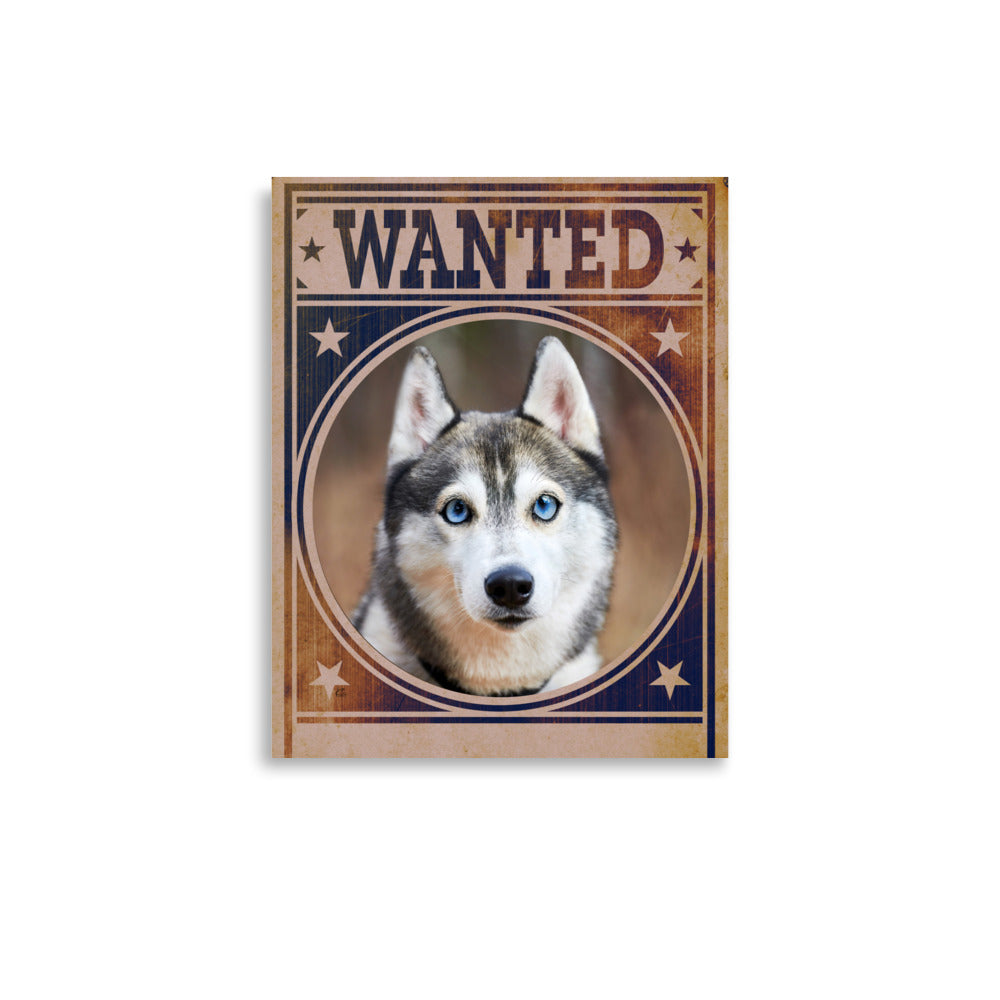 Siberian Husky Mug Shot Wanted Poster