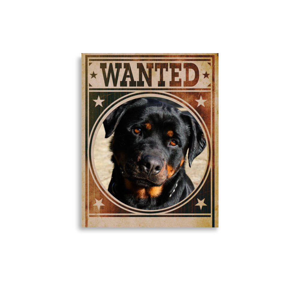 Rottweiler Mug Shot Wanted Poster