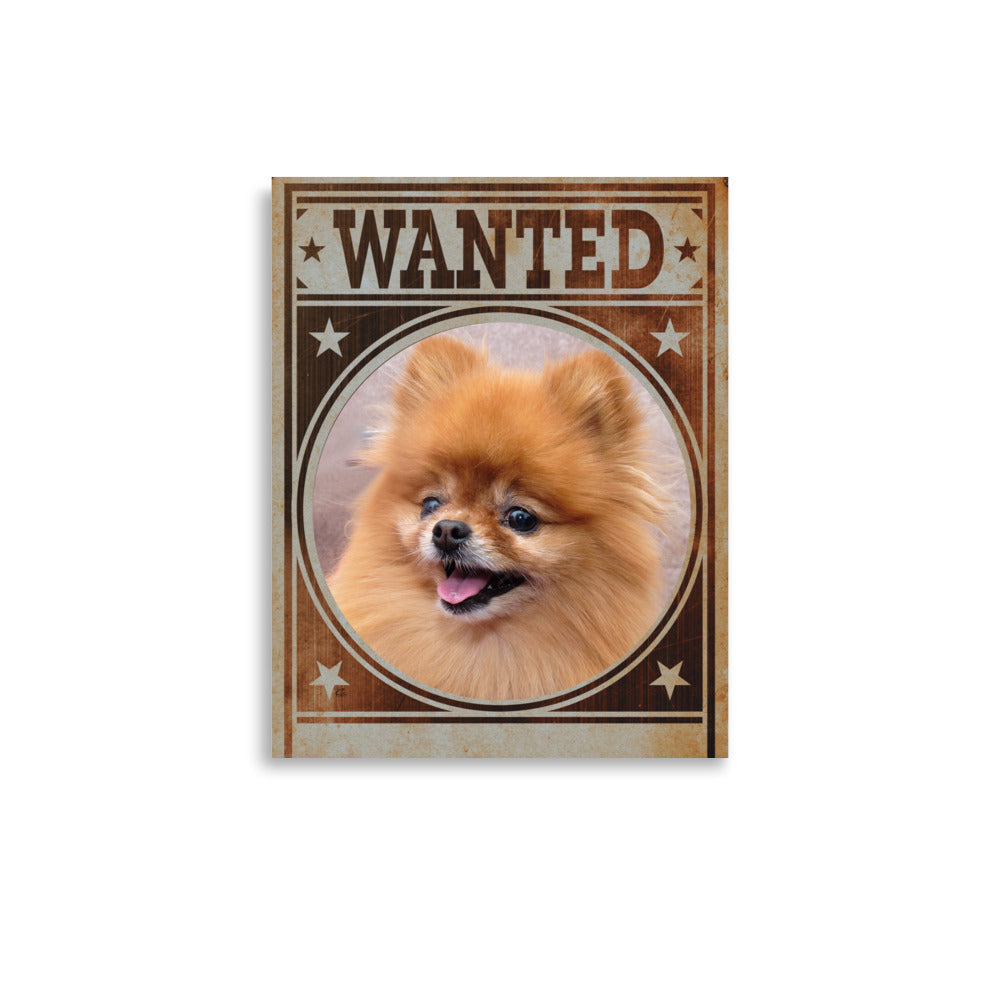 Pomeranian Mug Shot Wanted Poster